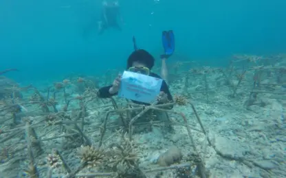 Protecting Coastal Ecosystems: Telkom Implements Coral Reef Conservation on Tunda Island, Banten